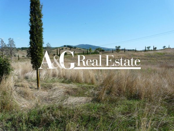 azienda agricola in vendita a Cinigiano