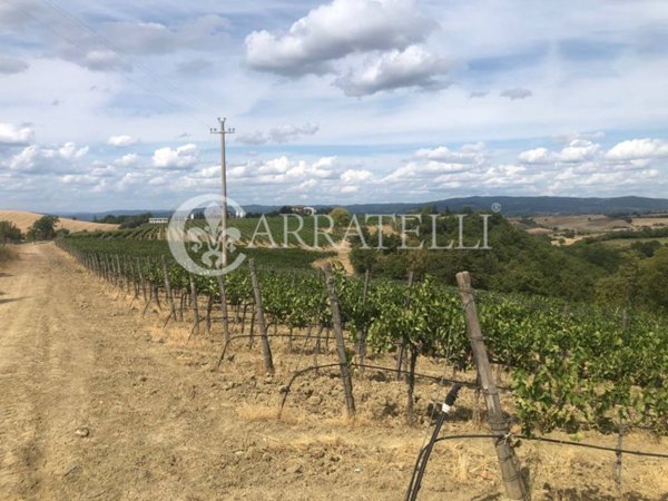 negozio in vendita a Cinigiano