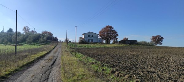 negozio in vendita a Cinigiano
