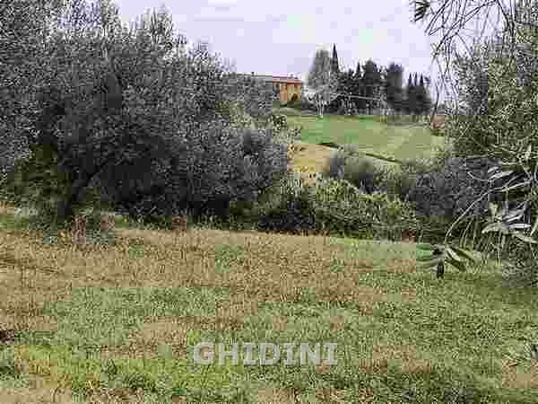 locale commerciale in vendita a Cinigiano