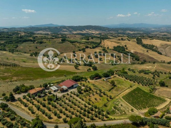 negozio in vendita a Cinigiano