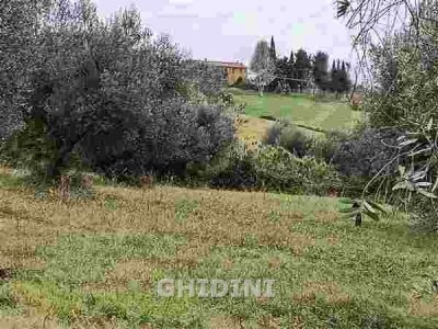 azienda agricola in vendita a Cinigiano