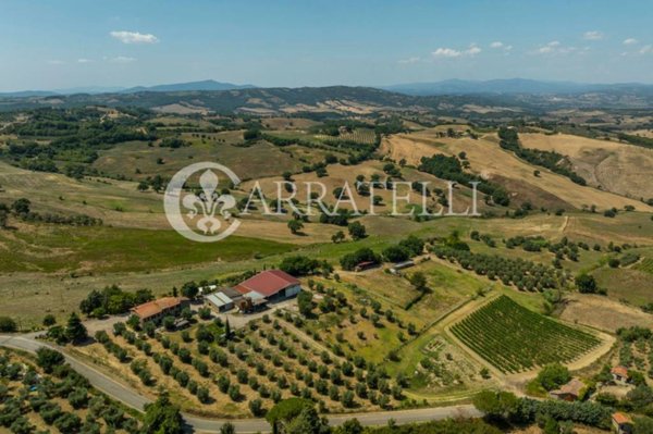 ufficio in vendita a Cinigiano in zona Porrona