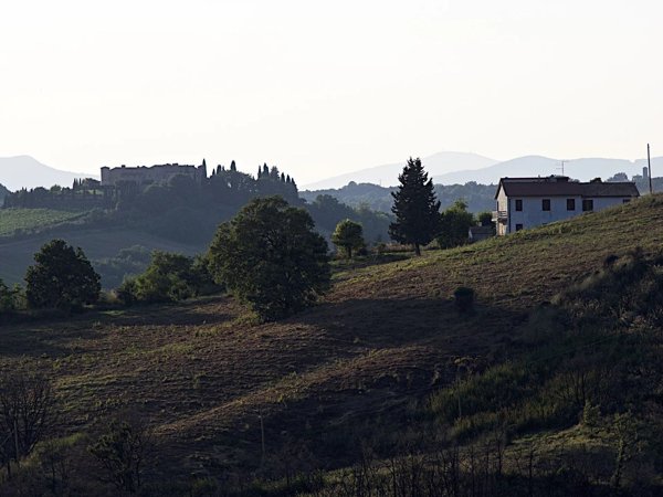 appartamento in vendita a Cinigiano