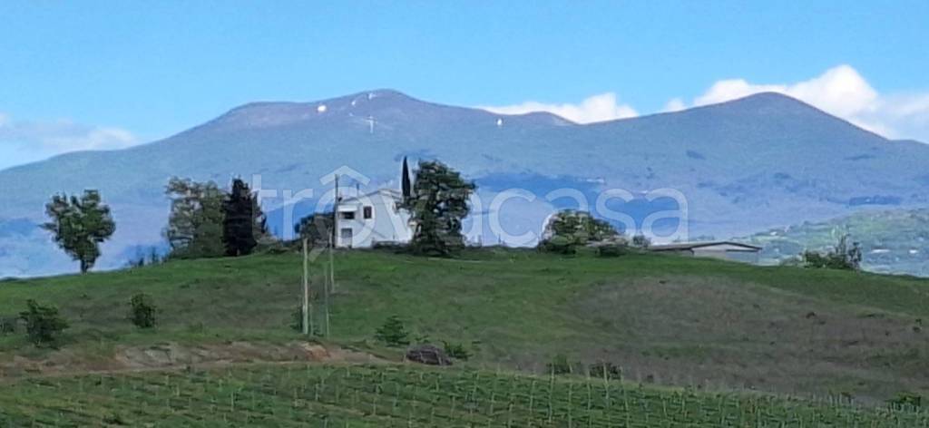 casa indipendente in vendita a Cinigiano