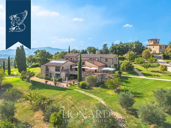 negozio in vendita a Cinigiano