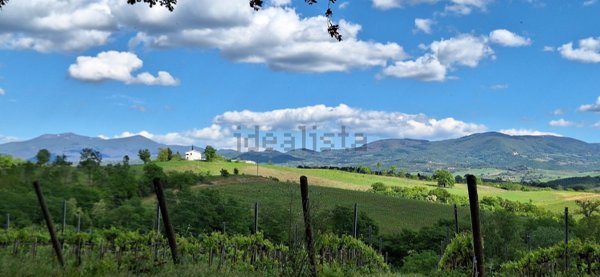 pentavano in vendita a Cinigiano