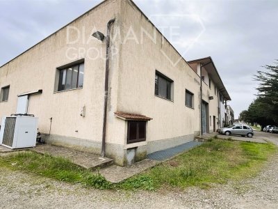 azienda agricola in vendita a Cinigiano