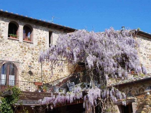 appartamento in vendita a Cinigiano