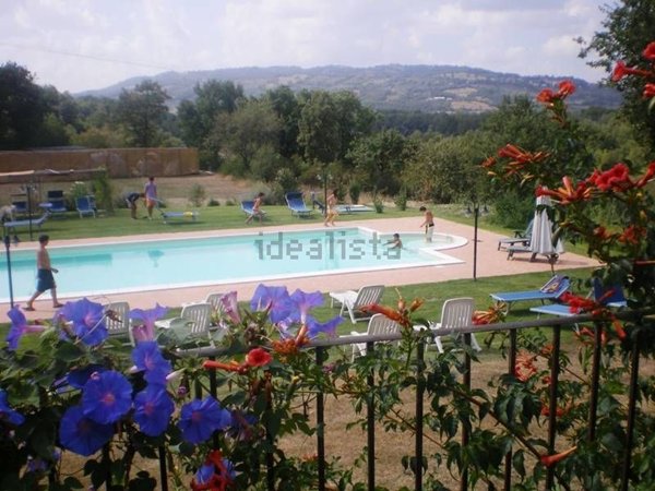 appartamento in vendita a Cinigiano