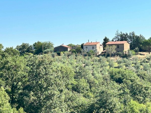 appartamento in vendita a Cinigiano