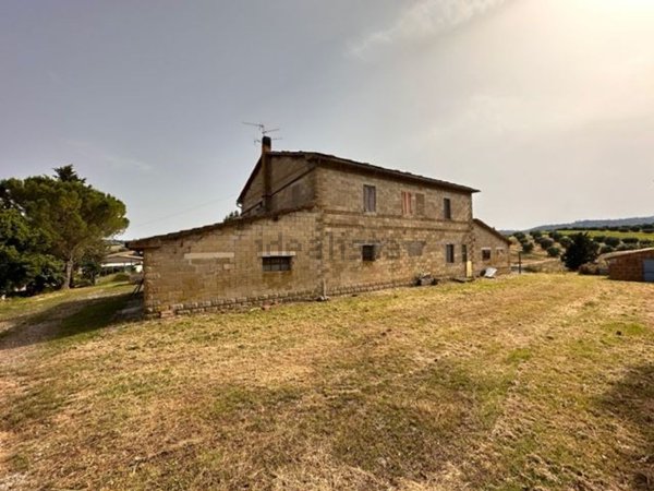 quadrivano in vendita a Cinigiano