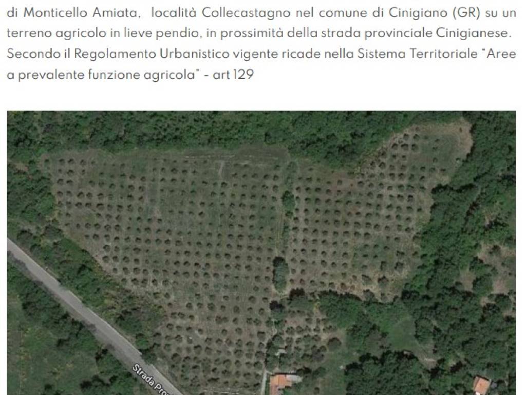 casa indipendente in vendita a Cinigiano
