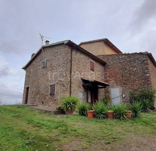 appartamento in vendita a Cinigiano in zona Sasso d'Ombrone
