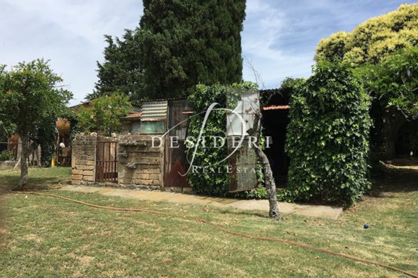 casa indipendente in vendita a Cinigiano in zona Poggi del Sasso