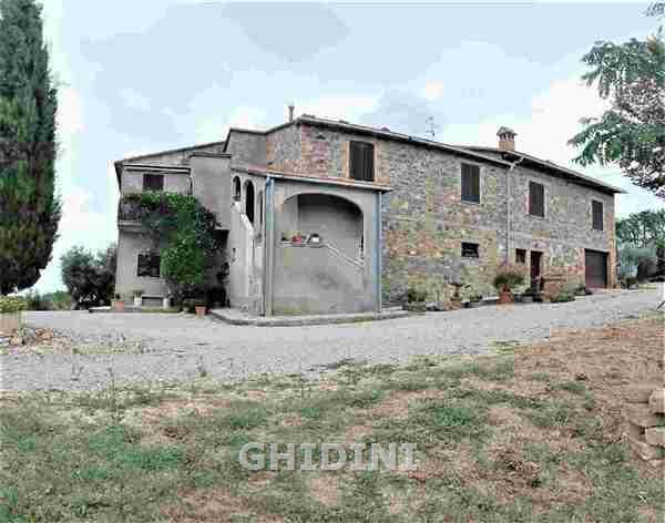 negozio in vendita a Cinigiano