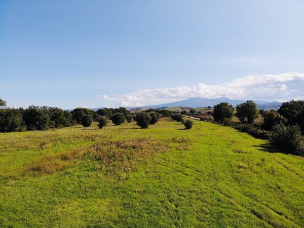terreno agricolo in vendita a Cinigiano in zona Borgo Santa Rita
