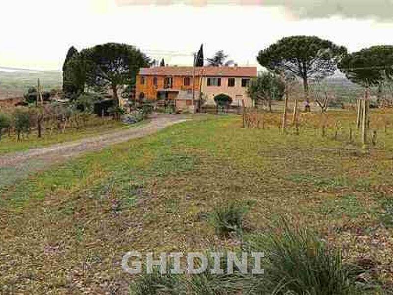 azienda agricola in vendita a Cinigiano