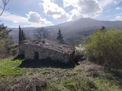casa indipendente in vendita a Cinigiano
