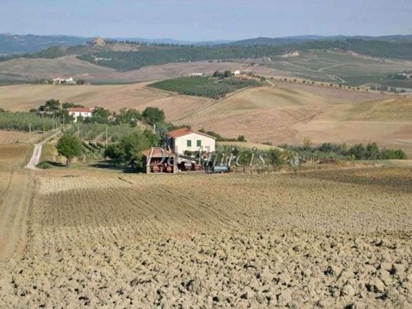 esavano in vendita a Cinigiano in zona Porrona