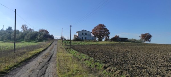 azienda agricola in vendita a Cinigiano