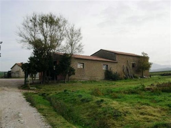 azienda agricola in vendita a Cinigiano