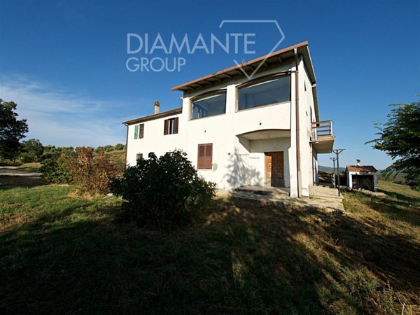 azienda agricola in vendita a Cinigiano