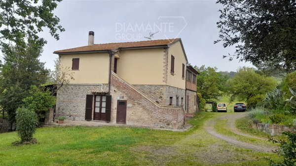azienda agricola in vendita a Cinigiano