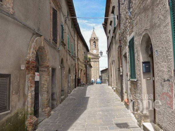 appartamento in vendita a Cinigiano in zona Monticello Amiata