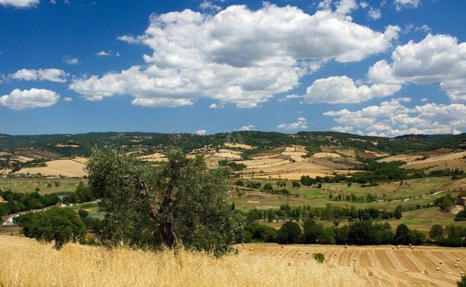casa indipendente in vendita a Cinigiano