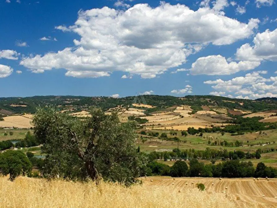casa indipendente in vendita a Cinigiano