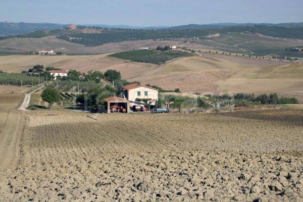 ufficio in vendita a Cinigiano in zona Porrona