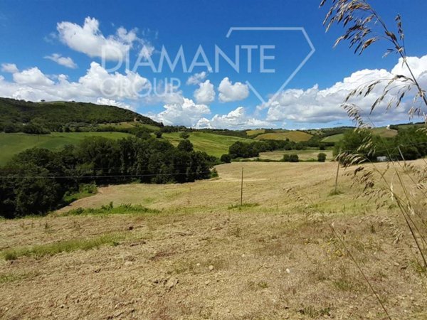 casa indipendente in vendita a Cinigiano