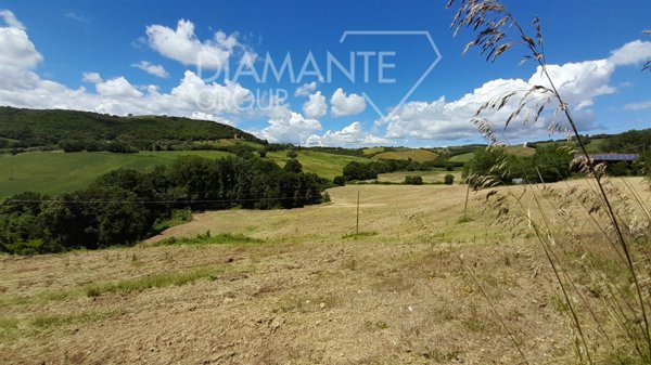 casa indipendente in vendita a Cinigiano