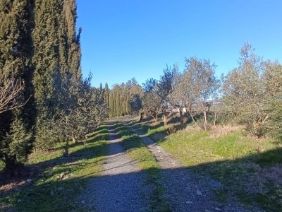 casa indipendente in vendita a Cinigiano