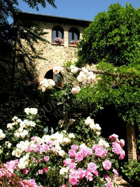 casa indipendente in vendita a Cinigiano