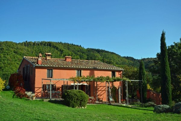 casale in vendita a Cinigiano