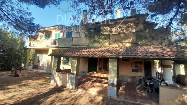 azienda agricola in vendita a Cinigiano