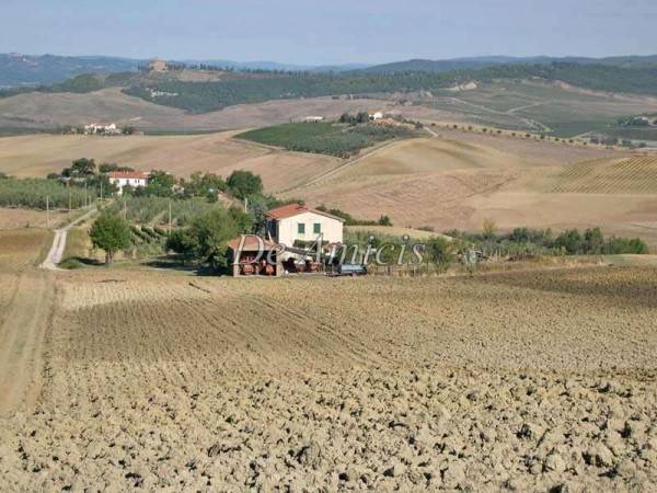 casa indipendente in vendita a Cinigiano in zona Porrona