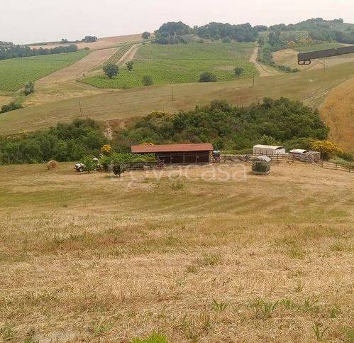 appartamento in vendita a Cinigiano in zona Porrona