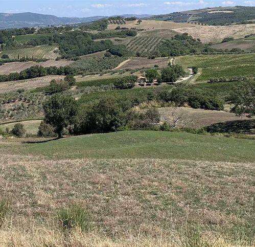 casa indipendente in vendita a Cinigiano