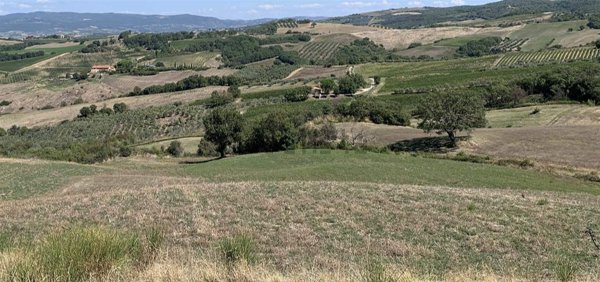 appartamento in vendita a Cinigiano