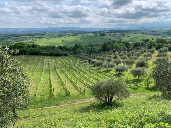 locale di sgombero in vendita a Cinigiano