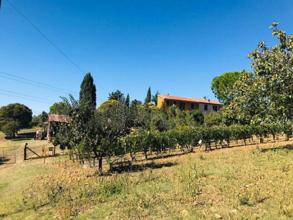 casa indipendente in vendita a Cinigiano