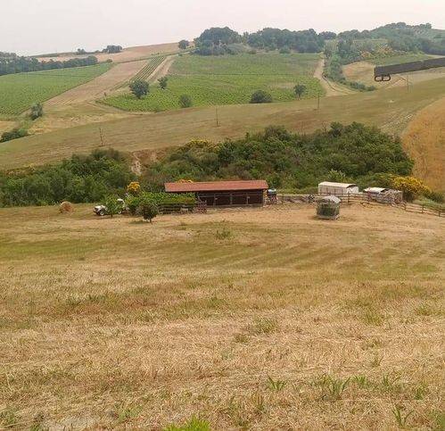 casa indipendente in vendita a Cinigiano in zona Porrona