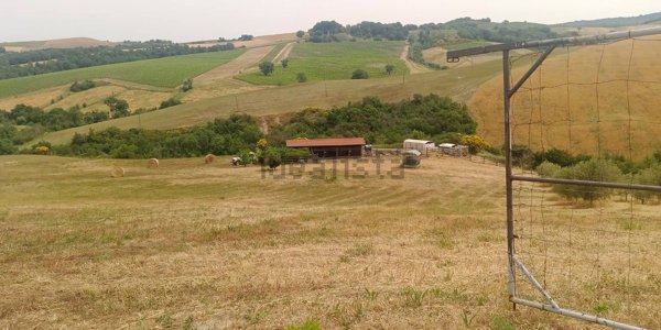 appartamento in vendita a Cinigiano