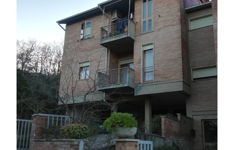 appartamento in vendita a Cinigiano