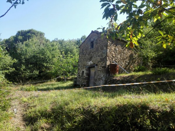 locale di sgombero in vendita a Cinigiano