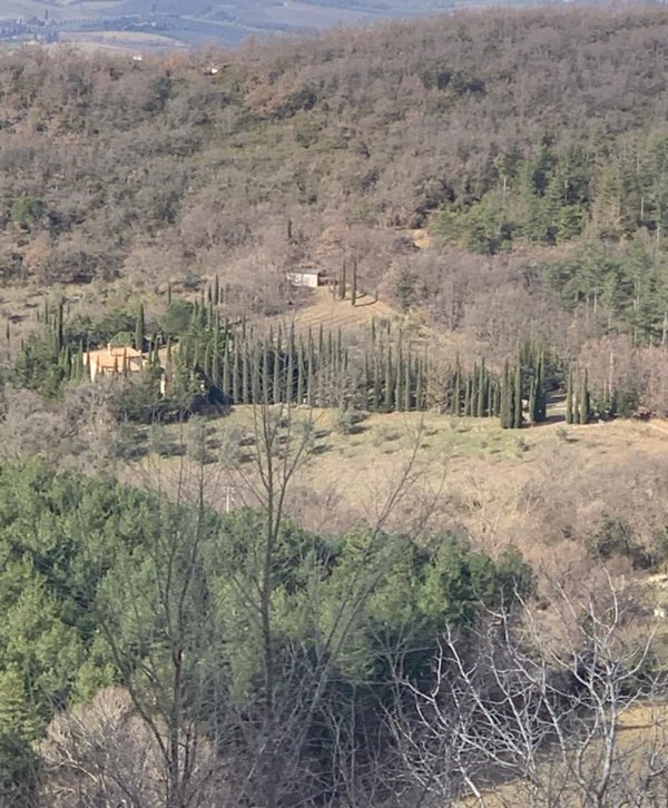 casa indipendente in vendita a Cinigiano