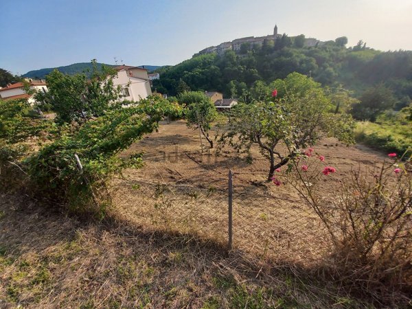 terreno edificabile in vendita a Cinigiano